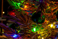 Holiday Lights-68