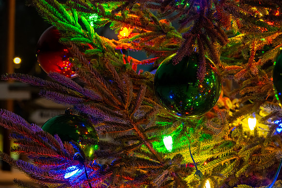 Holiday Lights-68
