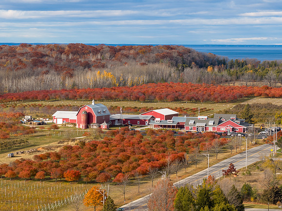 Red Leaves-56-HDR