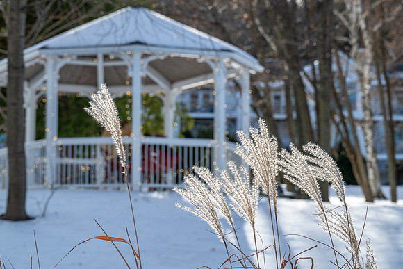 Sunny Snow Day-258