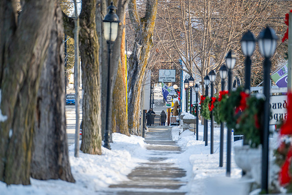 Sunny Snow Day-299