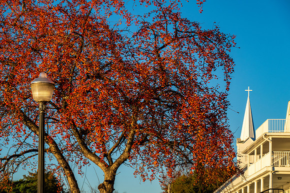 Ephraim Last of Fall-10