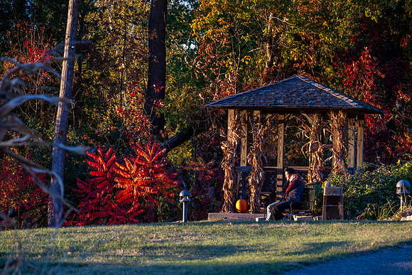 Egg Bay Sunsetting Fall-1