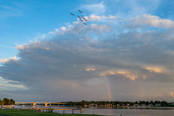 Memorial Rainbow-21