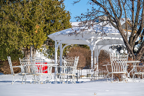 Sunny Snow Day-201