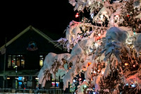 Blizzard 25-354