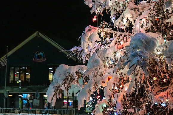 Blizzard 25-354