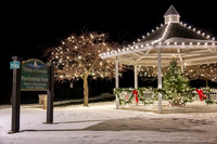 Holiday Lights-279