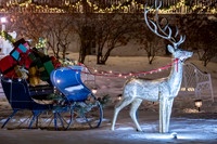 Holiday Lights-282