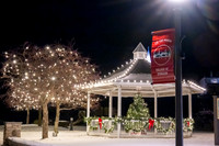 Holiday Lights-297