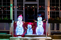 Holiday Lights-304