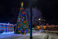Holiday Lights-181