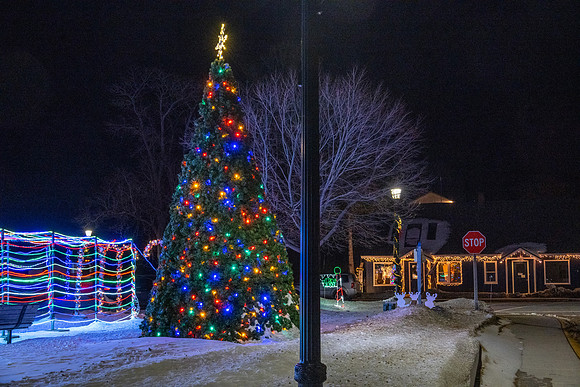 Holiday Lights-181