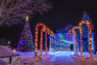 Holiday Lights-188