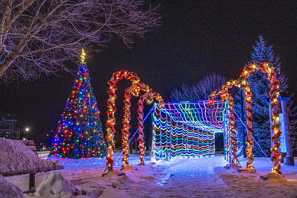 Holiday Lights-188