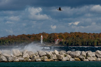 FallWind-289