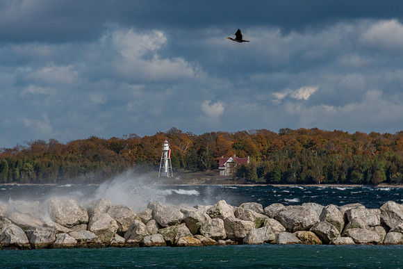 FallWind-289