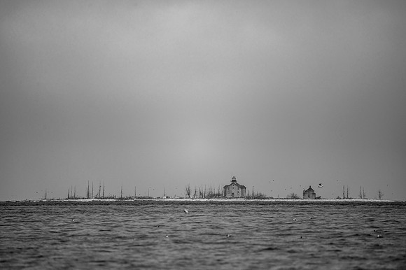 Grey Day Test-52