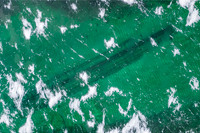 Fleetwing Under Ice-10