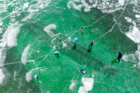Frozen Fleetwing Ice Skaters-37