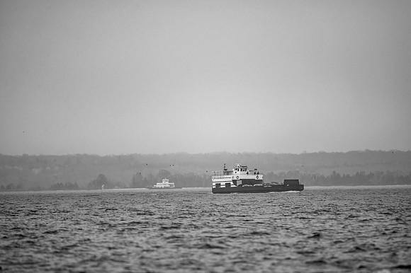 Grey Day Test-158