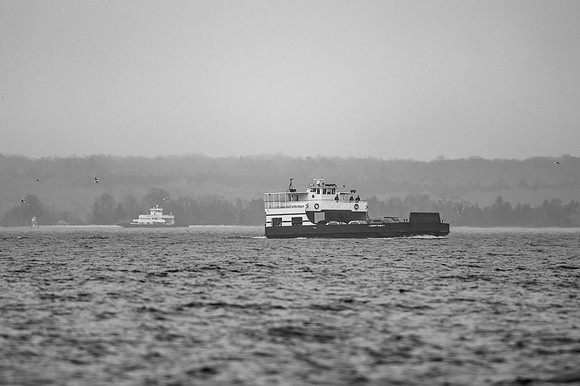 Grey Day Test-159