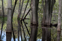 AndersonPond-1