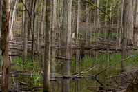 AndersonPond-16
