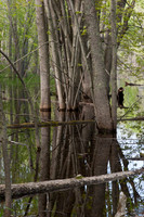 AndersonPond-18