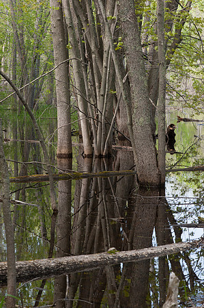 AndersonPond-18