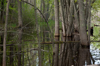 AndersonPond-24