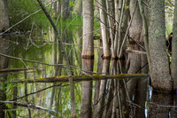AndersonPond-65