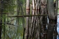 AndersonPond-97