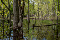 AndersonPond-135