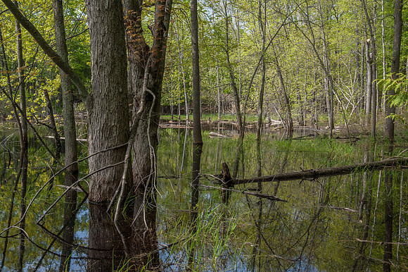 AndersonPond-135