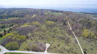 BayBluffFly-2