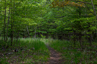 Booes Bluff-5