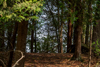 Booes Bluff-7
