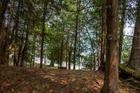 Booes Bluff-9