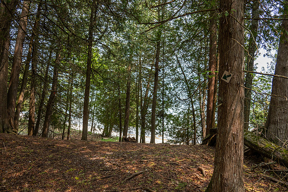 Booes Bluff-9