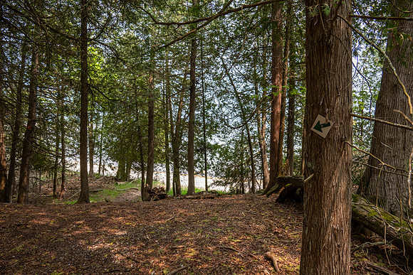 Booes Bluff-11