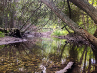 HeinPreserve-3