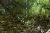 HeinPreserve-4