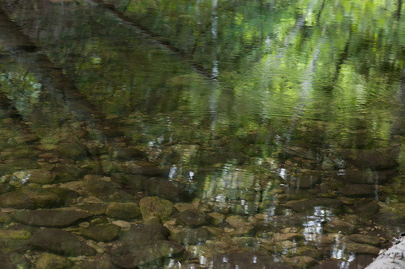 HeinPreserve-4