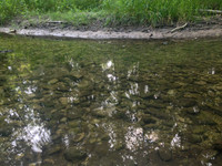 HeinPreserve-5