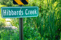 Hibbards Creek Fairview Drone-1