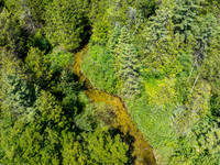 Hibbards Creek Fairview Drone-5