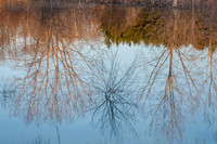MinkRSpring-27
