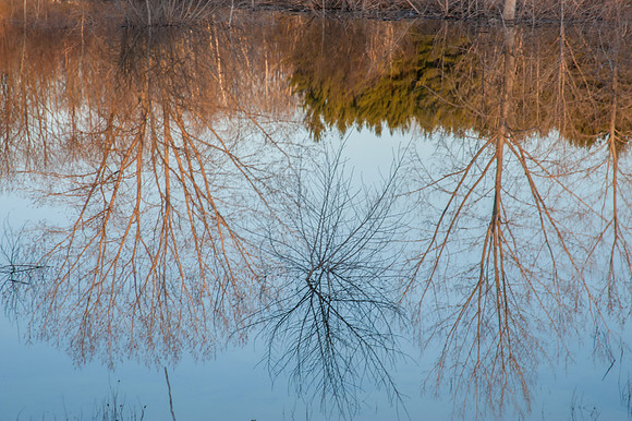 MinkRSpring-27
