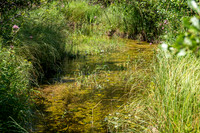 Hibbards Creek Fairview Drone-7